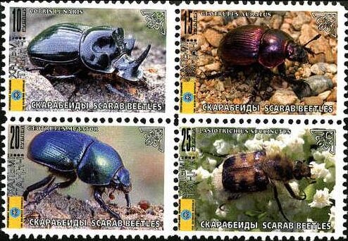 Beetles