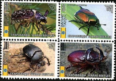 Beetles