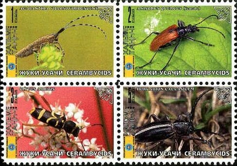Beetles