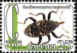 Stamp, Beetles, Cinderellas,  , Animals (Fauna), Beetles, Insects