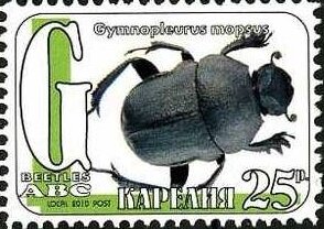 Beetles