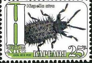 Beetles