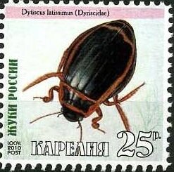 Beetles