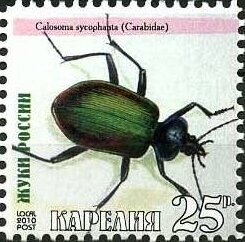 Stamp, Beetles, Cinderellas,  , Animals (Fauna), Beetles, Insects