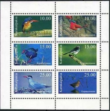Birds