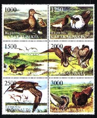 Birds