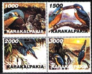 Birds
