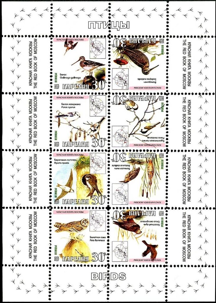 Birds