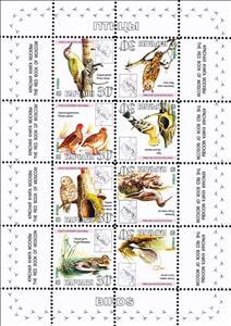 Mini Sheet, Birds, Cinderellas,  , Animals (Fauna), Birds