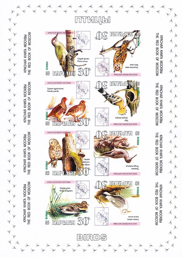 Birds