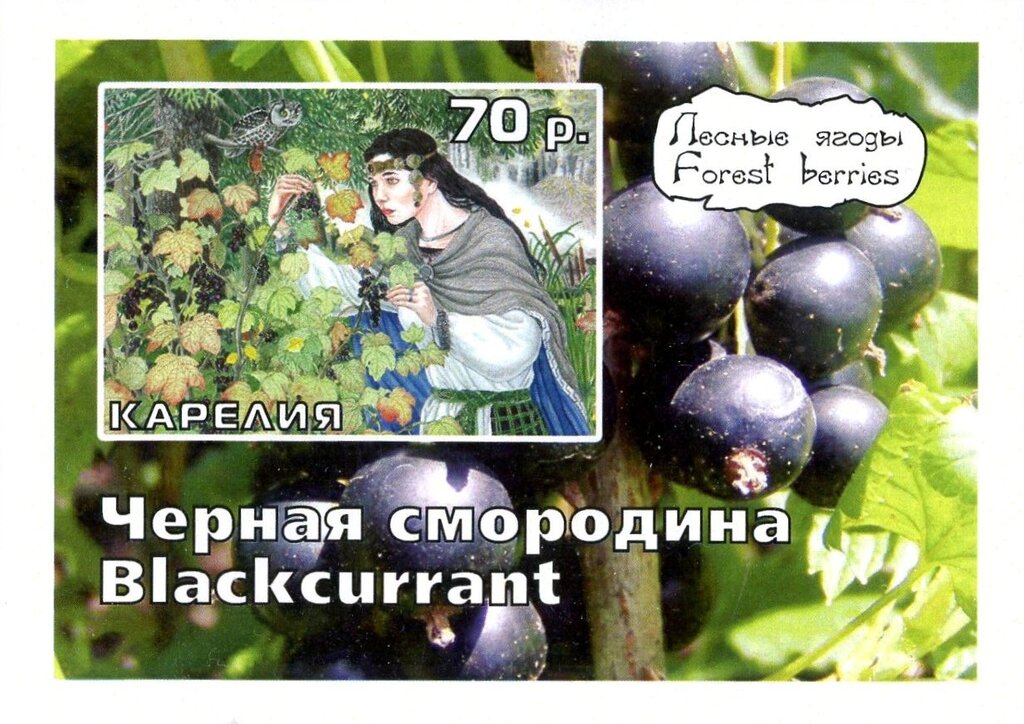 Blackcurrant