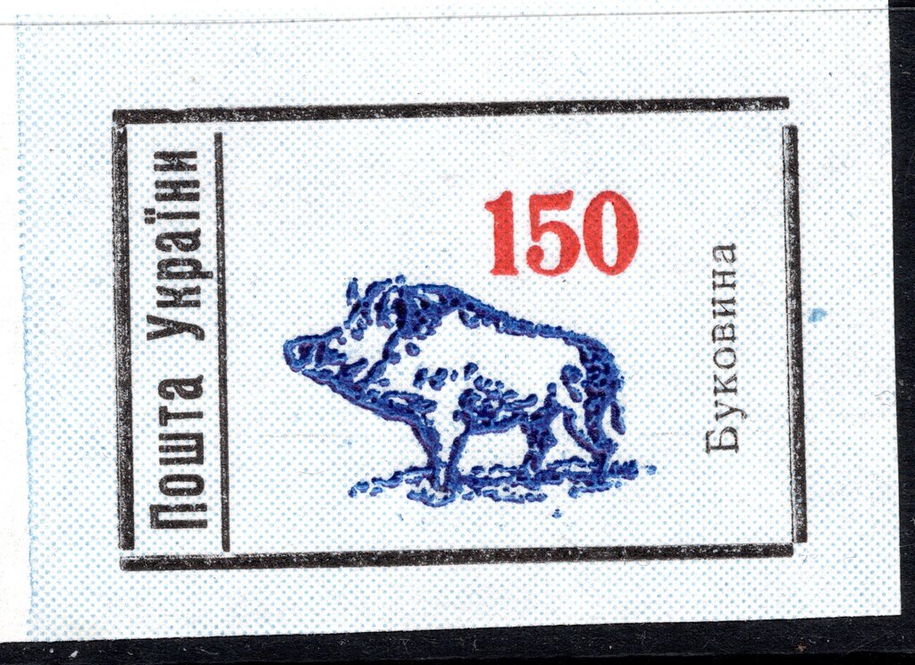 Boar