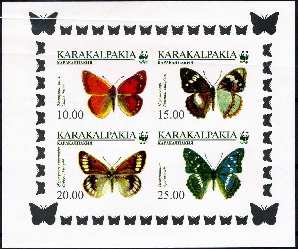 Butterflies