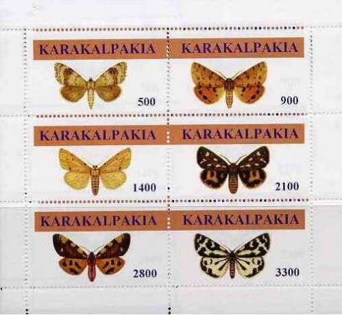 Butterflies