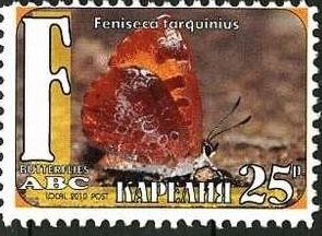 Stamp, Butterflies, Cinderellas,  , Animals (Fauna), Butterflies, Insects