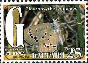Butterflies