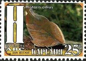 Stamp, Butterflies, Cinderellas,  , Animals (Fauna), Butterflies, Insects
