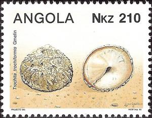 Stamp, Peruvian Hat (Trochita trochiformis) , Angola,  , Shells