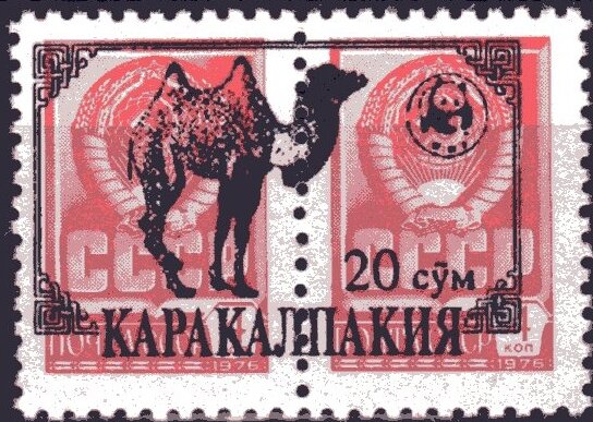 Camel