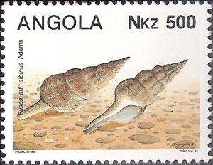 Stamp, (Fusos aff. albinus) , Angola,  , Shells