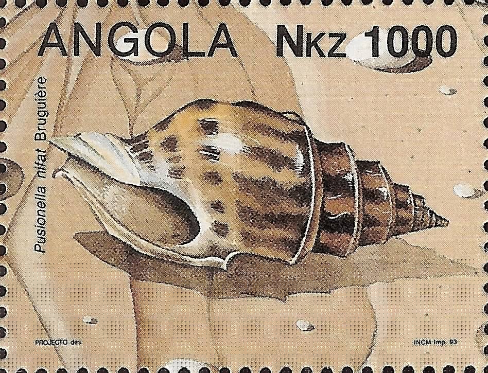 (Pusionella nifat)