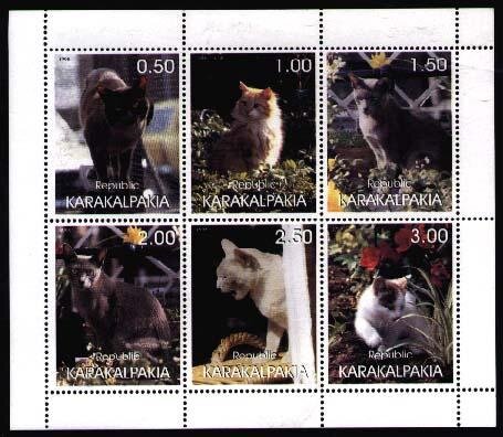 Cats