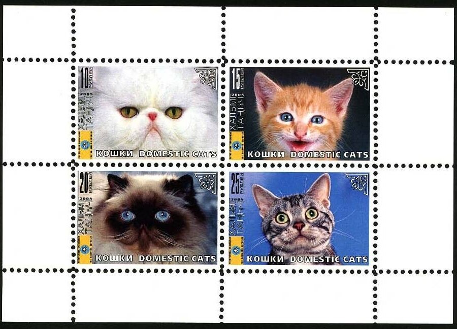 Cats