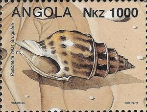 Stamp, (Pusionella nifat), Angola,  , Shells