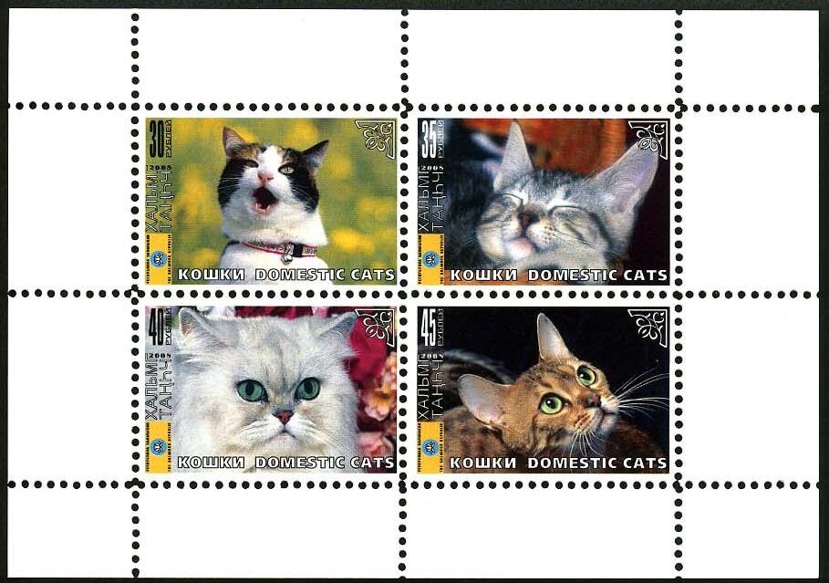 Cats