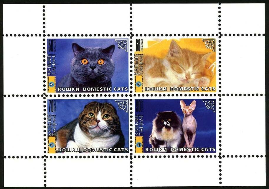 Cats