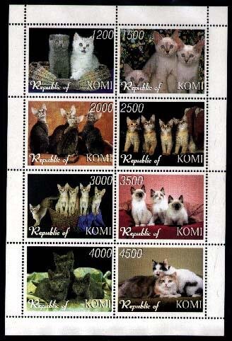Cats