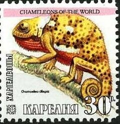 Stamp, Chameleons, Cinderellas,  , Animals (Fauna), Chameleons, Lizards