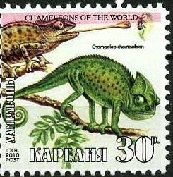 Stamp, Chameleons, Cinderellas,  , Animals (Fauna), Chameleons, Lizards