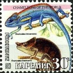 Stamp, Chameleons, Cinderellas,  , Animals (Fauna), Chameleons, Lizards