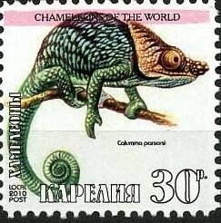 Chameleons