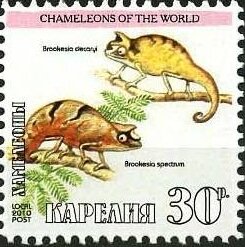 Stamp, Chameleons, Cinderellas,  , Animals (Fauna), Chameleons, Lizards
