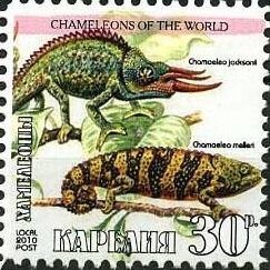 Stamp, Chameleons, Cinderellas,  , Animals (Fauna), Chameleons, Lizards