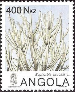 Stamp, Cacti and Succulents, Angola,  , Cacti