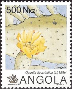 Stamp, Cacti and Succulents, Angola,  , Cacti