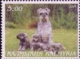 Stamp, Dog, Cinderellas,  , Animals (Fauna), Dogs, Mammals