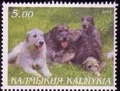 Stamp, Dog, Cinderellas,  , Animals (Fauna), Dogs, Mammals
