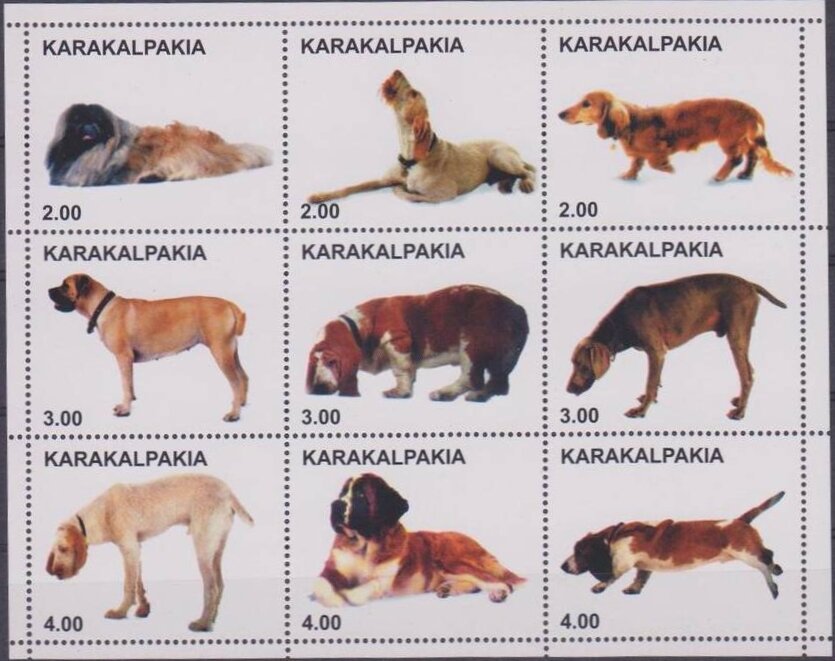 Dogs