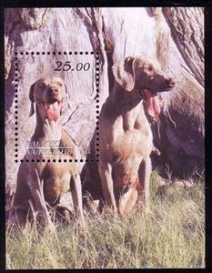 Souvenir Sheet, Dogs, Cinderellas,  , Animals (Fauna), Dogs, Mammals
