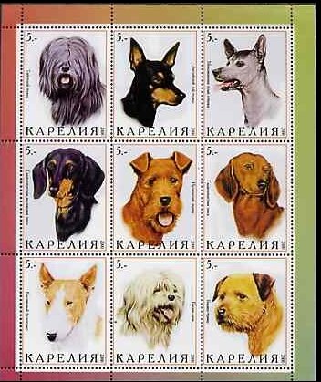 Dogs