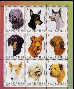 Mini Sheet, Dogs, Cinderellas,  , Animals (Fauna), Dogs, Mammals