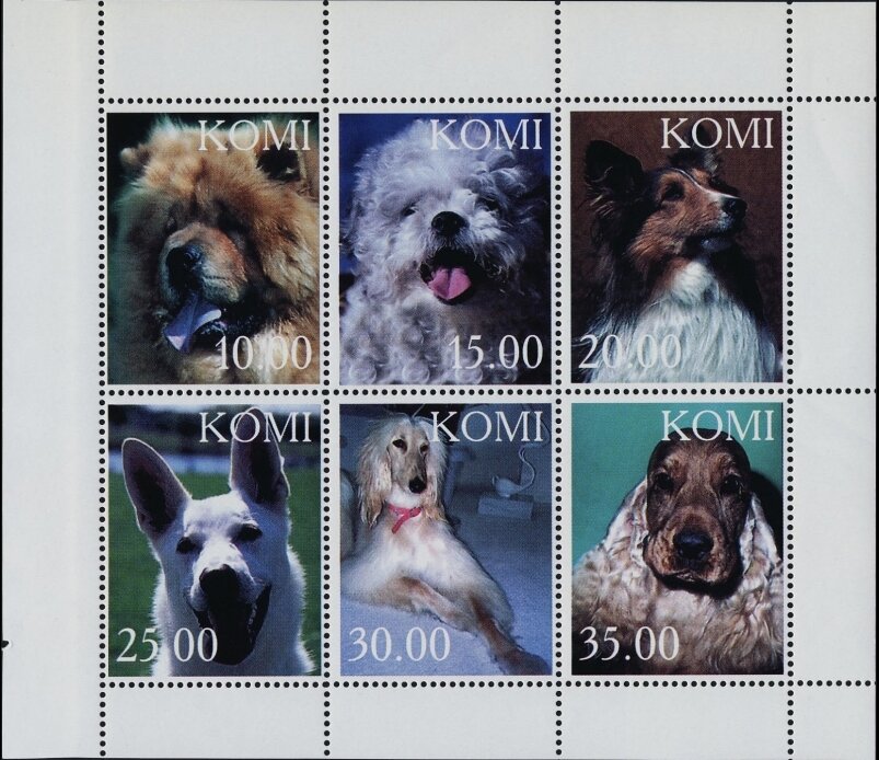 Dogs