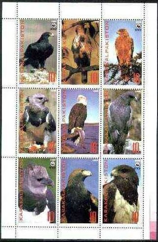 Eagles