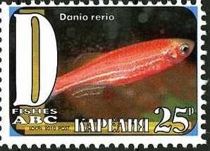 Stamp, Fishes, Cinderellas,  , Animals (Fauna), Fishes