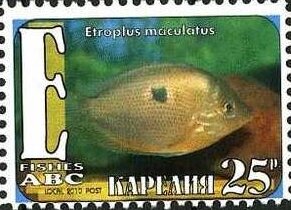 Fishes