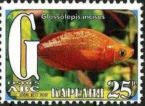 Stamp, Fishes, Cinderellas,  , Animals (Fauna), Fishes